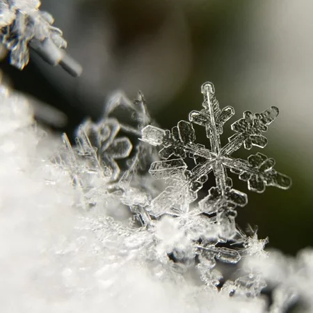 Snow