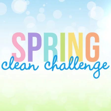 Spring Clean Challenge