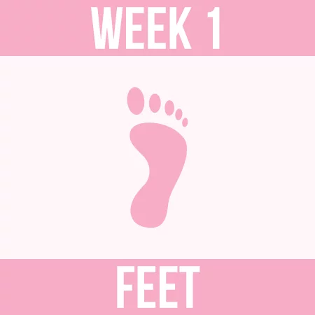 Spring Clean Challenge - Week 1
