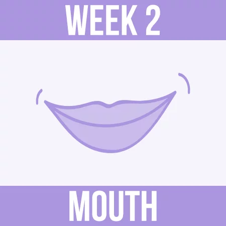 Spring Clean Challenge - Week 2