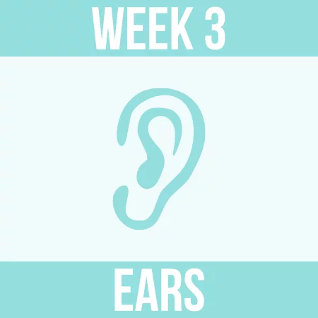 Spring Clean Challenge - Week 3