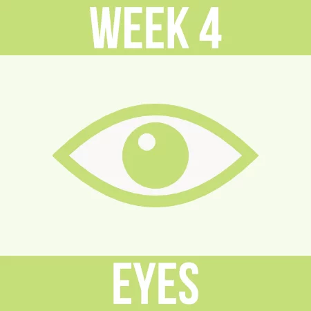 Spring Clean Challenge - Week 4